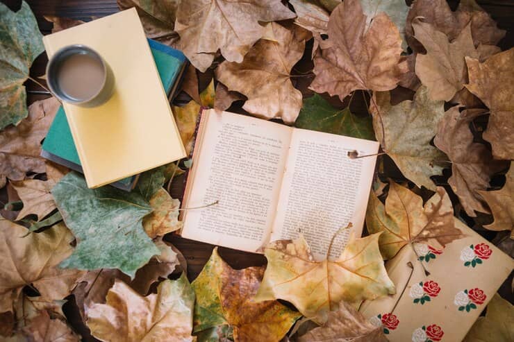 Cozy Flatlay with Books and Cup Between Leaves